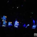 IMG_110730 (11)